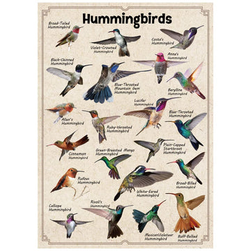 Bboldin® Hummingbirds Jigsaw Puzzles 1000 Pieces
